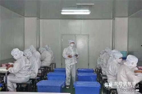 昆明口罩爆料事件最新,揭露背后真相与反思防疫措施